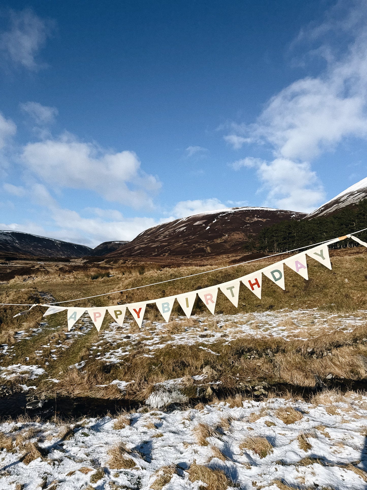 Happy Birthday Bunting